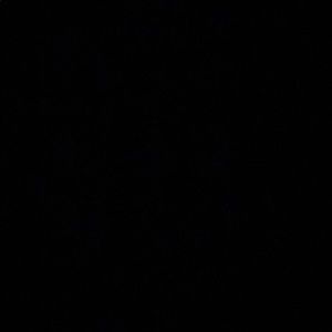 Meet your Posher, Trey